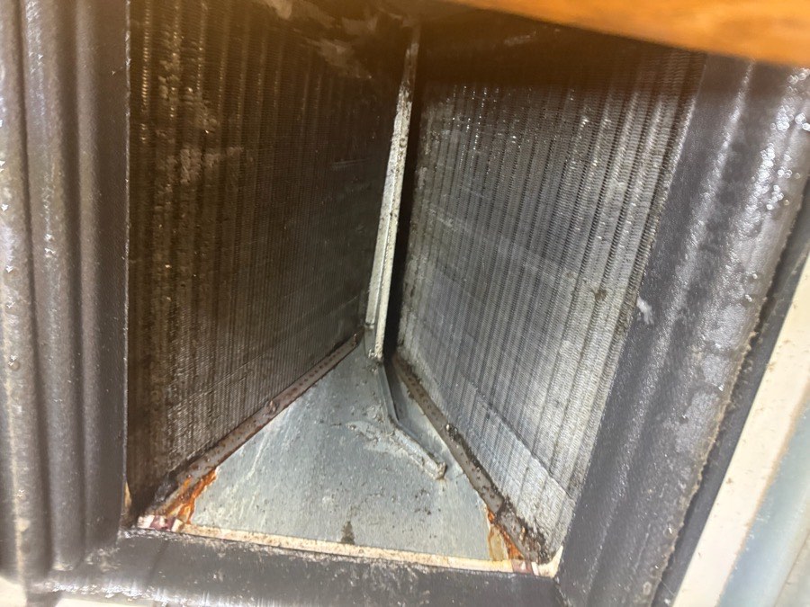 Dirty evaporator coil found during a Georgetown AC service call